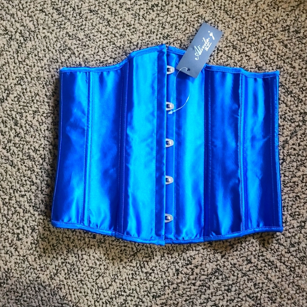 M; NWT BLUE CORSET